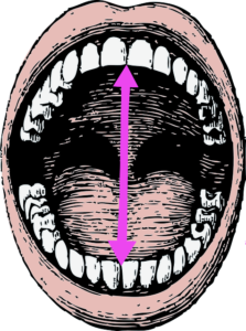 Model face mouth center finding and teeth